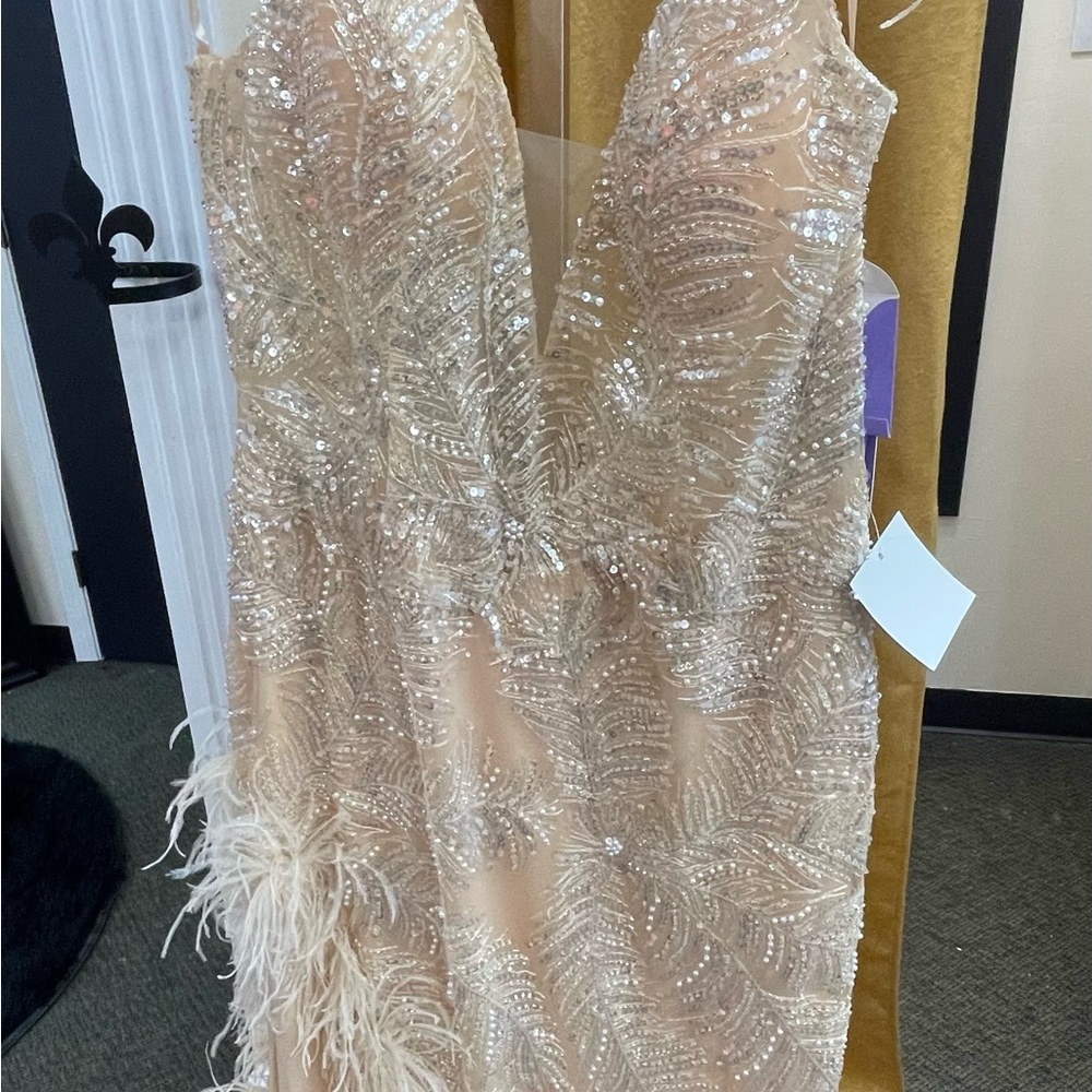 Ladivine Sequin and Feather Gown